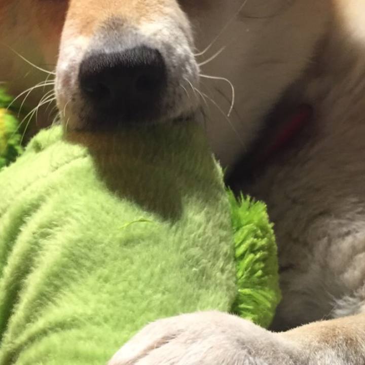 C525834b d7b4 43d7 a171 95ff18d88505