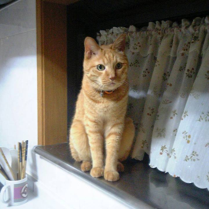 C525b14a 57a3 4a9c 867e f27c95f32e3e