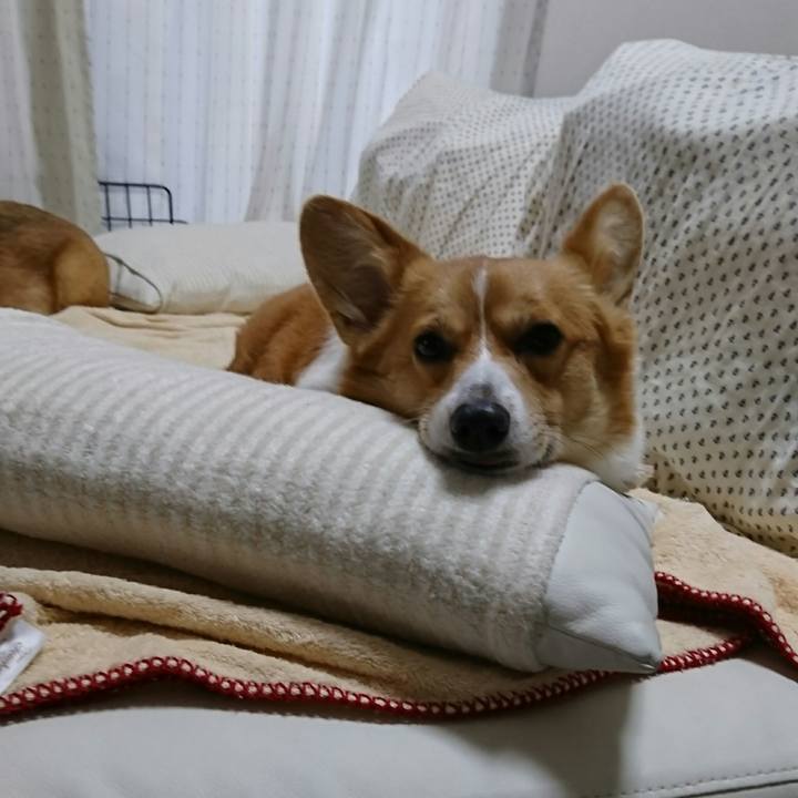 C525cd47 80e4 4079 988e ae3106e98d97