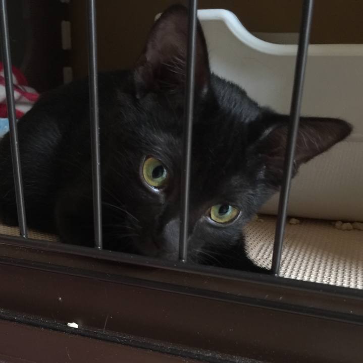 C5261cee 5e13 4de5 9a0b 9afff4ca205a