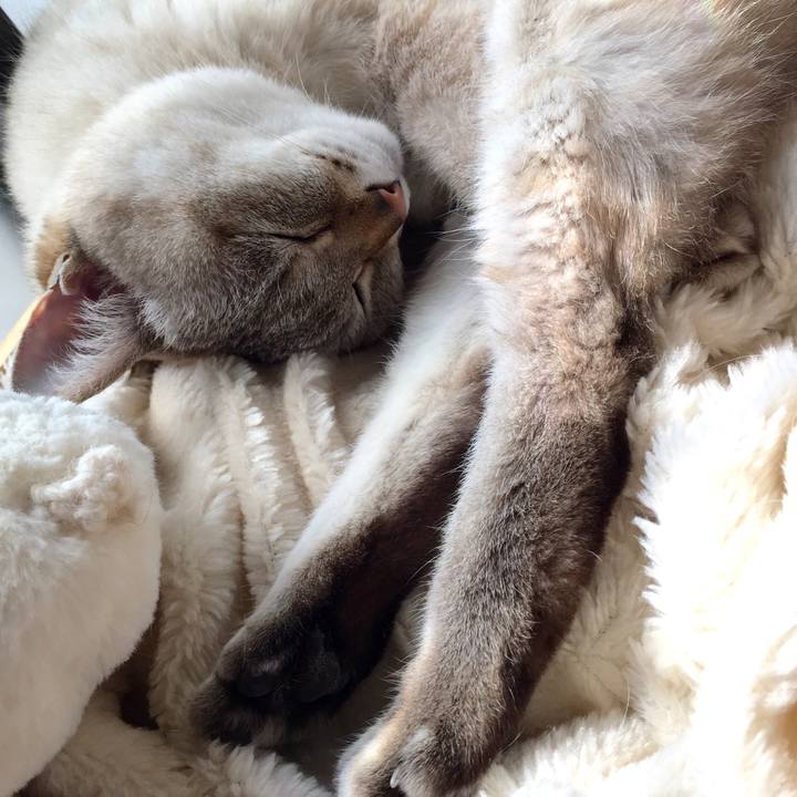 C5266d16 2dd7 4cf0 bc00 0210c045d4c4