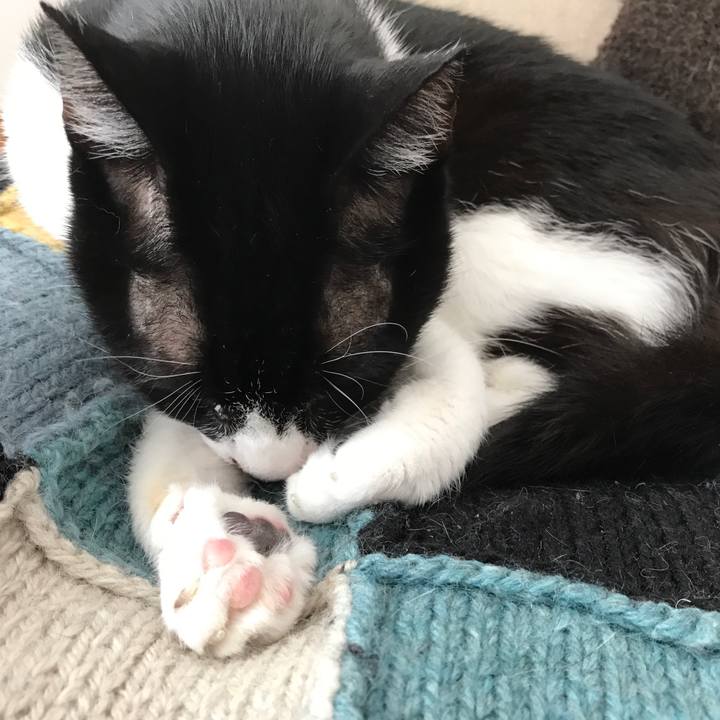 C527775b f886 43e5 94fc f35c5687ddf2