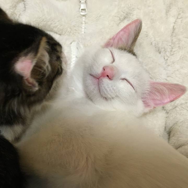 C5286897 4da9 4aa3 ba96 d0cfb38551e1