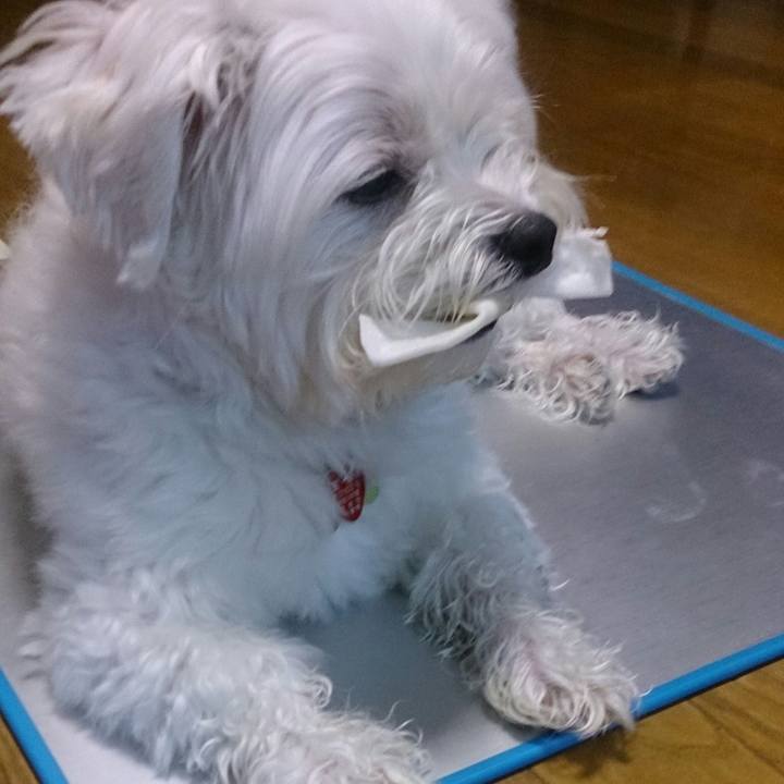 C528a843 1058 4288 8b55 e498d9e0deb9