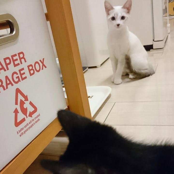 C528ea3a e288 4e4a ade7 e2edab5f4ecb