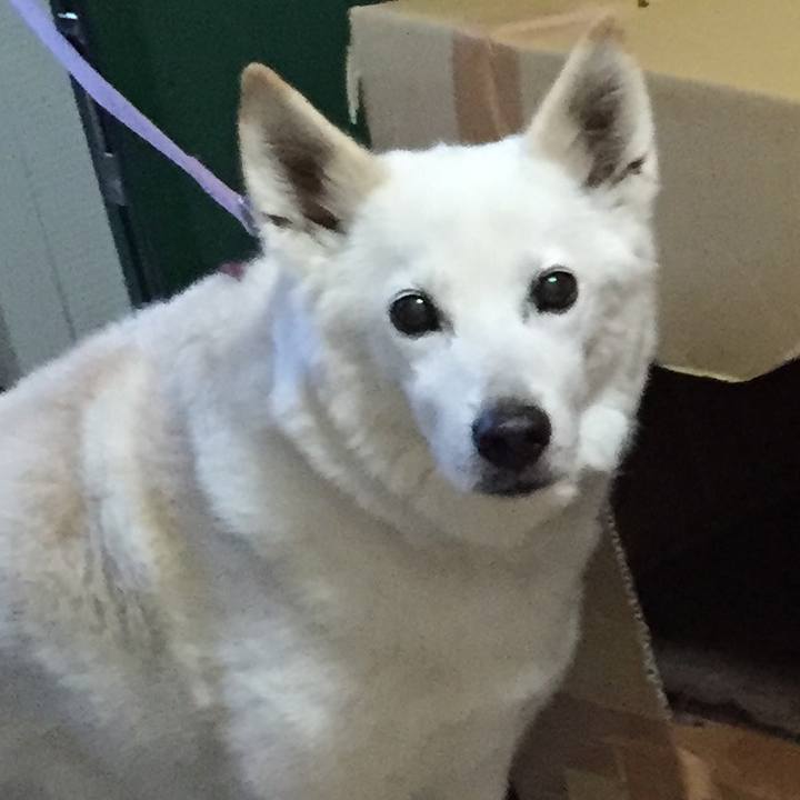 C5290927 5882 43a0 8bf6 f7024f73d2a2