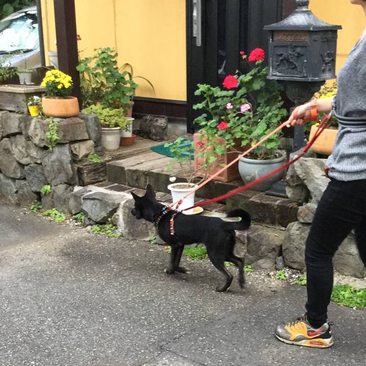 C5299549 8efd 4b7a b772 d72dc61e4aa3