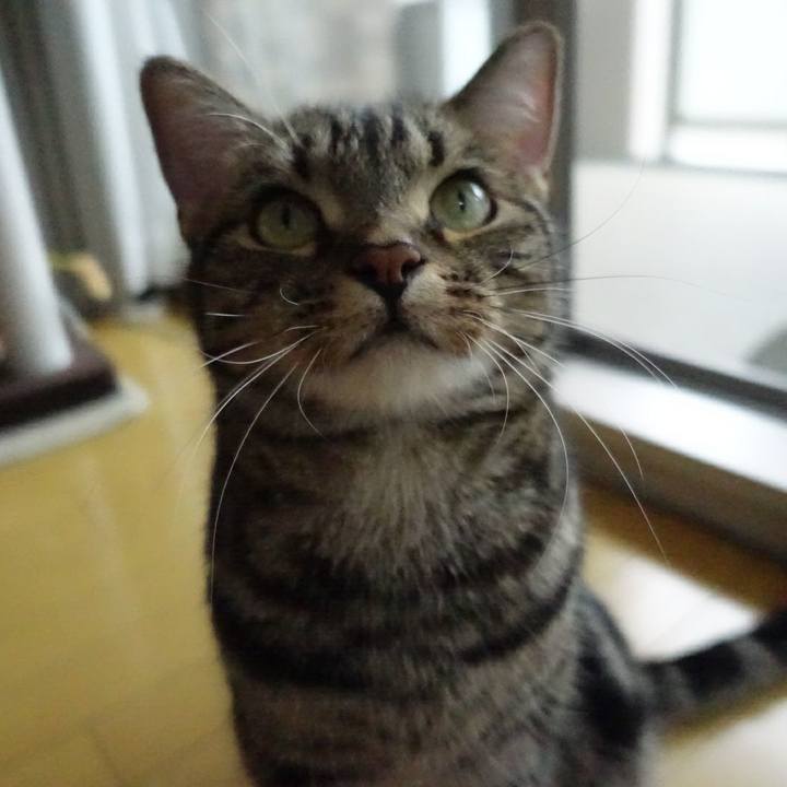 C5299620 d52b 4f69 8452 4198a9594b6f