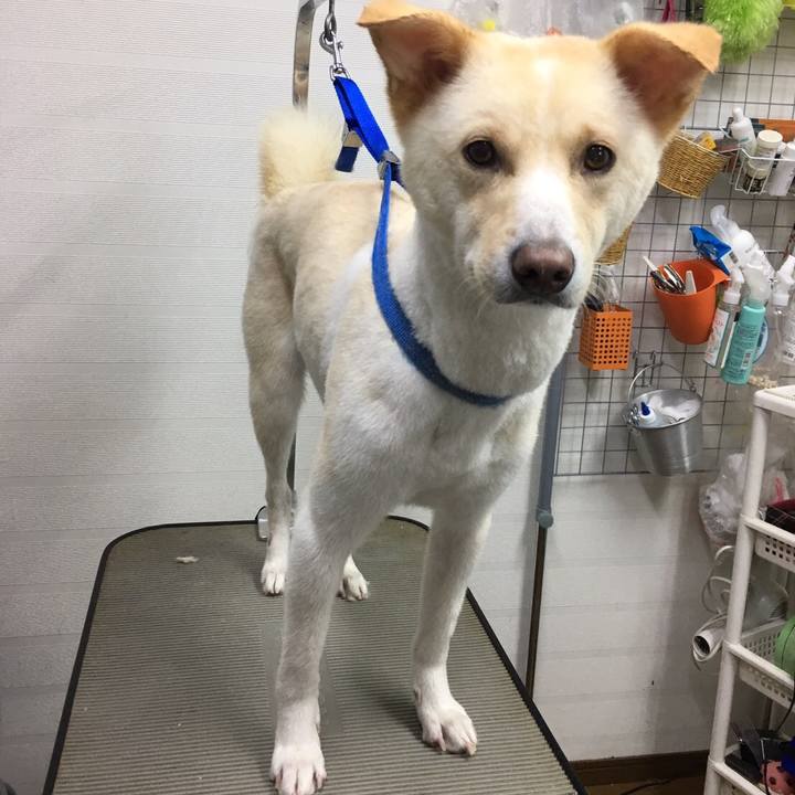 C52a09b3 c2b1 47a8 9621 d47b026be5fe