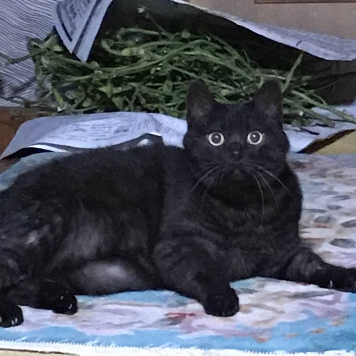 C52a8faa 5184 4843 9b69 f76fdbbc2df7