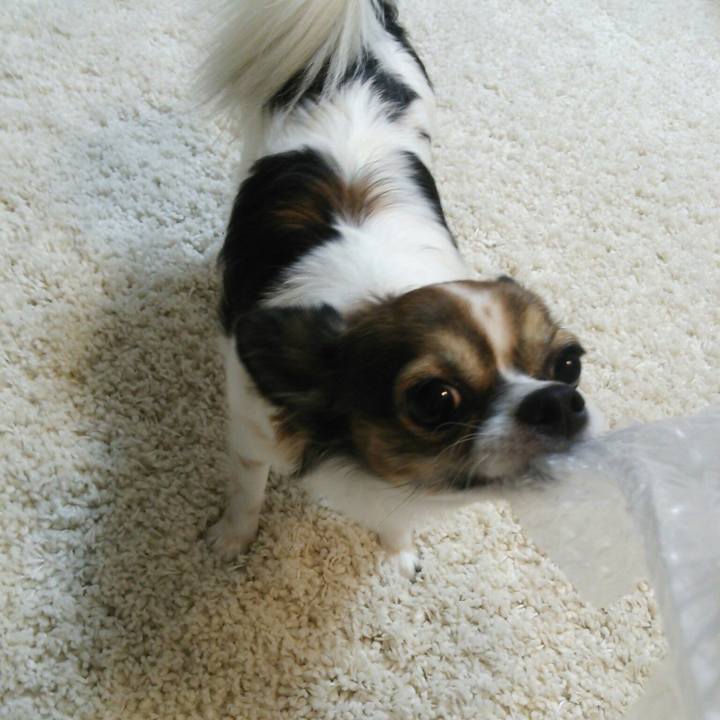 C52acf3a 287c 4cec 9aa2 438fb80000a1