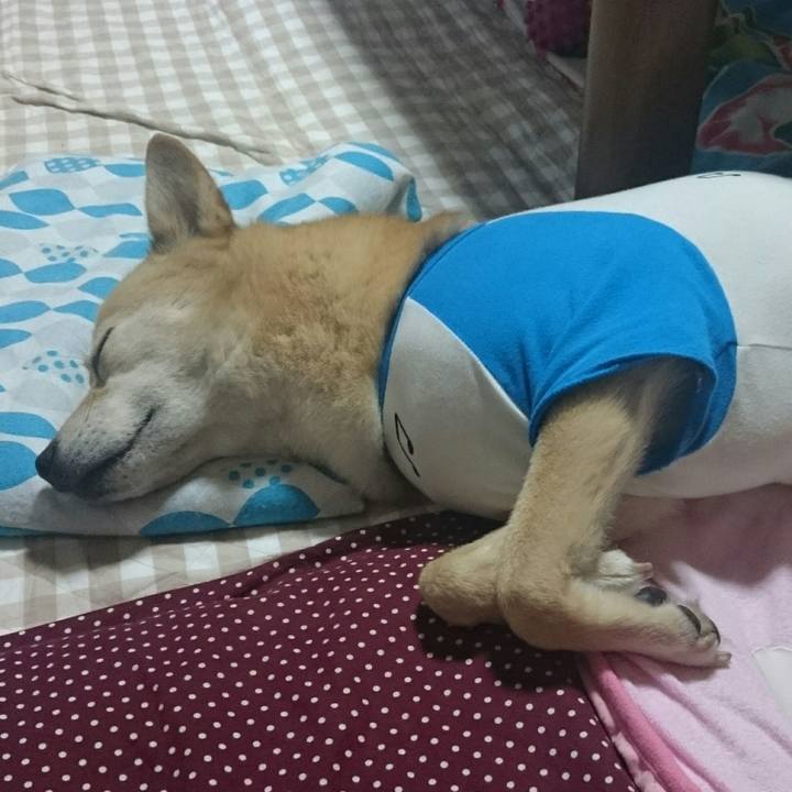 C52acfdb c254 403e bc06 7a02b7cecd05