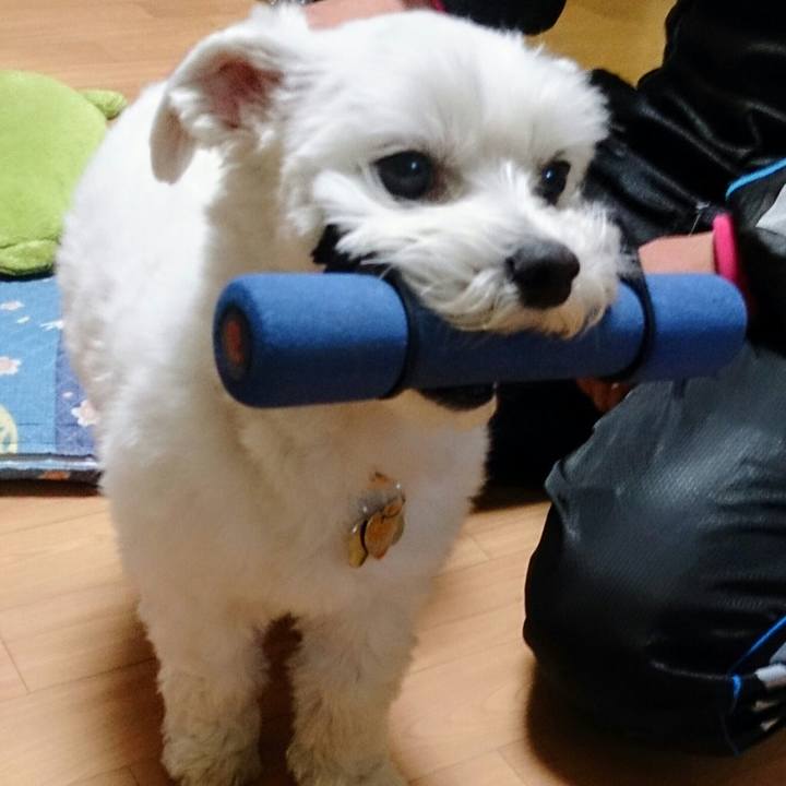 C52bc934 3d02 4b3b a94d cc41271f931b