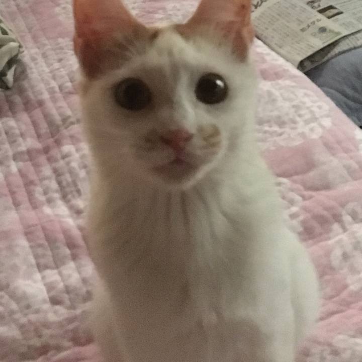 C52bf783 7fb4 4218 93aa e37ac138b09b