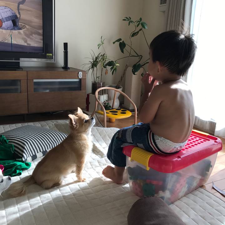 C52d901b 28ab 4c65 b44f f7a701cbb7ed