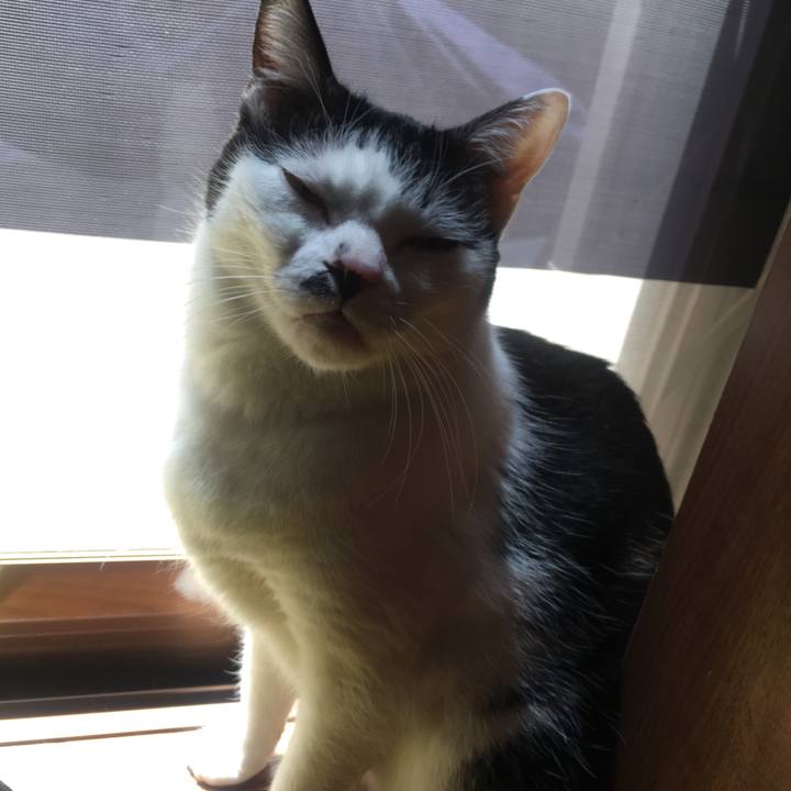 C52e964e 2a5c 4d97 88c7 860ffdc3b329