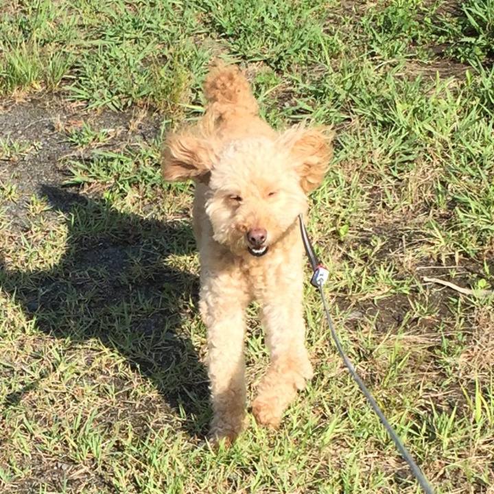 C52ea33c 9360 4e63 ae72 e62d668fae29