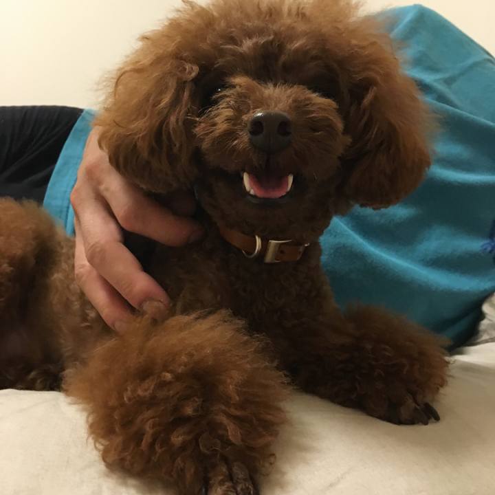 C52ea59d fe27 4da8 b57a df3ec928f159