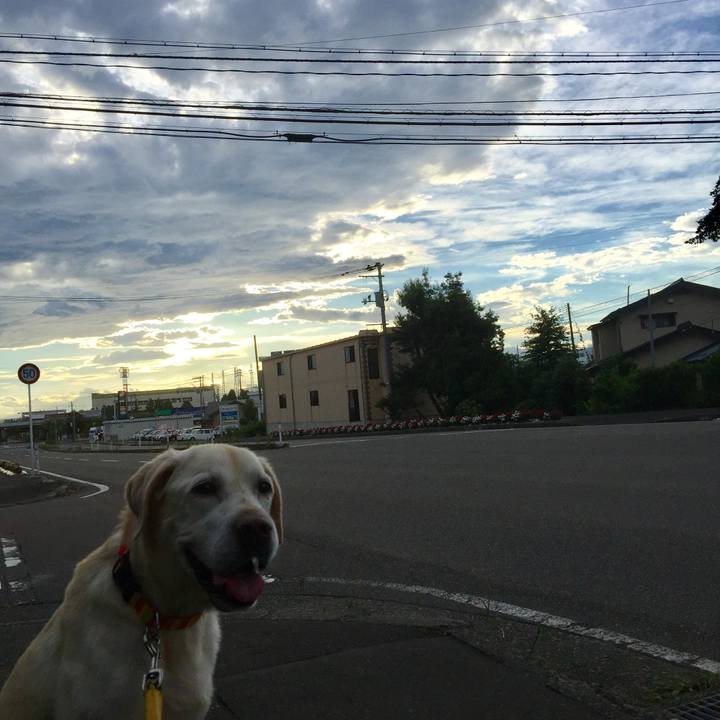 C52ed68a f568 4082 85e4 82006d599031