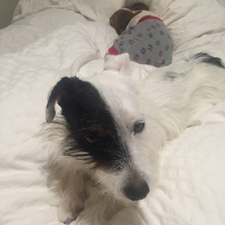 C52fd938 328b 4676 8a4e de18936cbd4c