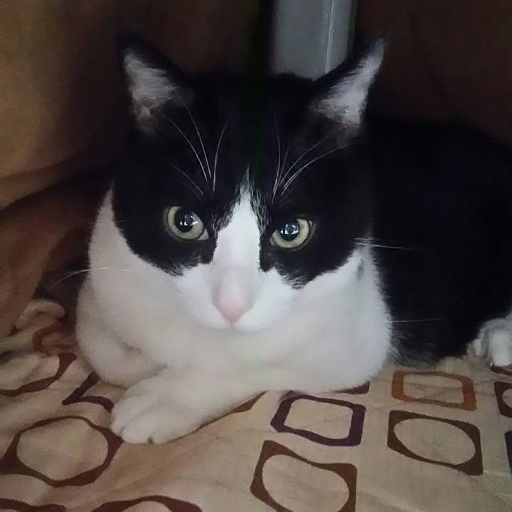 C52fe778 4f44 4b5c 83b0 3739742e8b4f