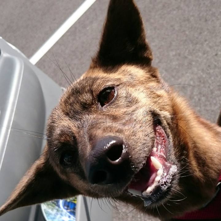 C5304d5f c6ee 45e1 a4a3 134ba835400b