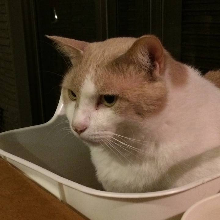 C5305a26 1f6c 44ec bee9 791eb5e0d39d