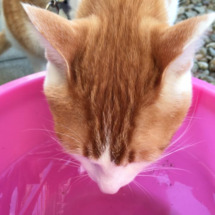 C5305e5d 46b2 4c26 b0ad 72382ef2c6af