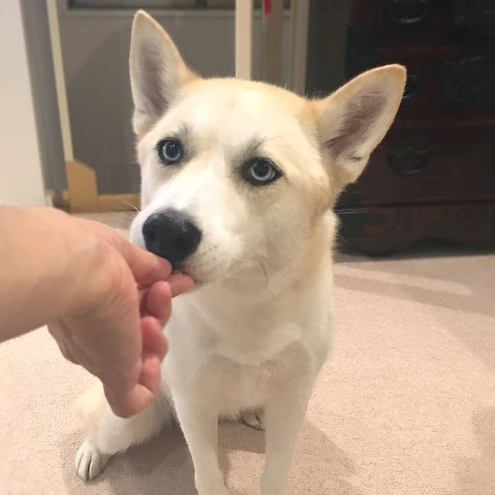 C5308785 cb5b 4d57 b23f 27b33a78eec6