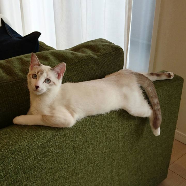 C530941a 4172 4db1 87db a9acc9315960