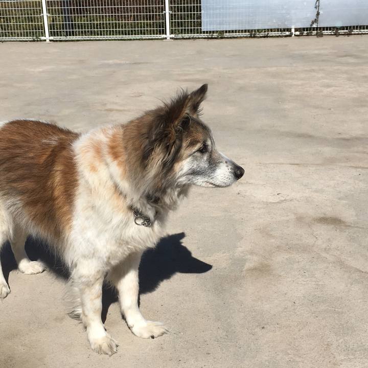 C531c46e 9153 4f1b 9c1a 3f54c1e7a955