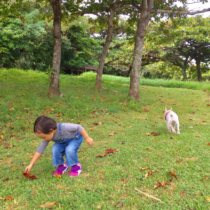 C531ee73 75b0 4828 8b36 b1e643c5e20c