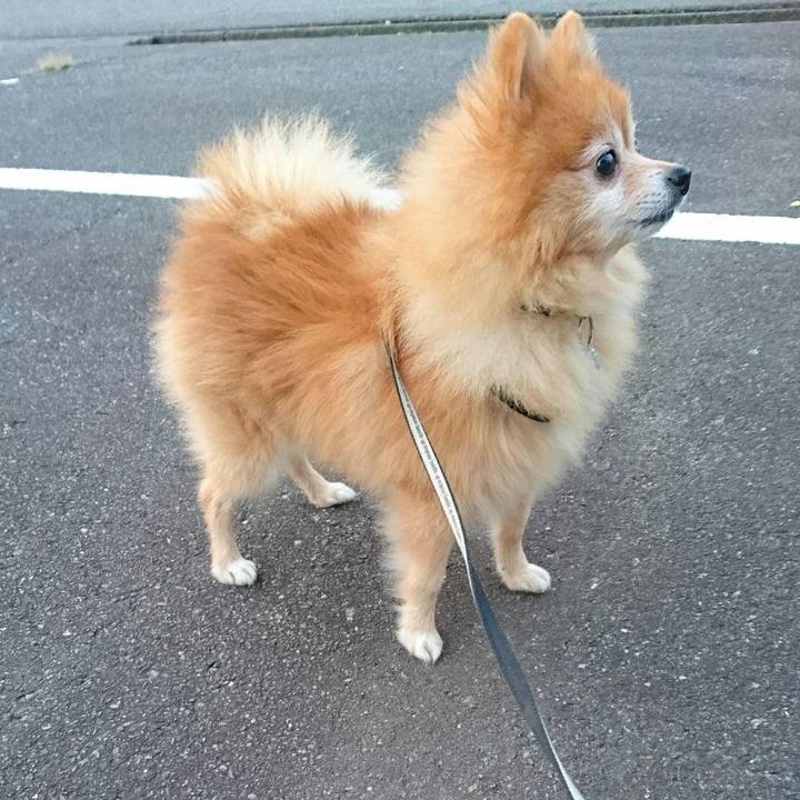 C5323c8f e7db 4e1a a136 db0fcb515e63