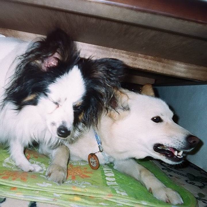 C53437b0 b933 443b 8fb9 19a11702535e