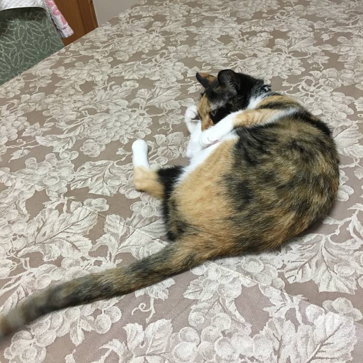 C53446b5 f28d 40a0 afa6 4839b3218a79