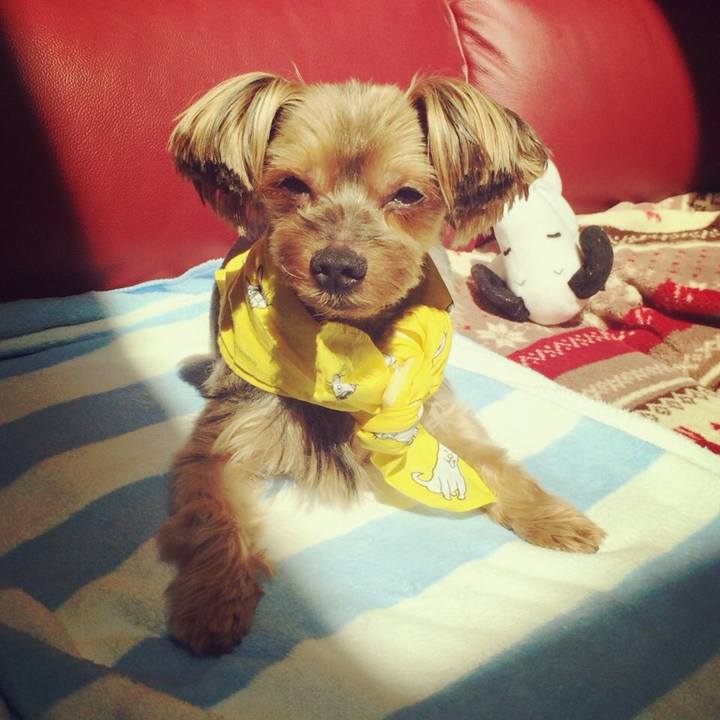 C534c17f de1b 41fd 8077 0c83eca3f41f