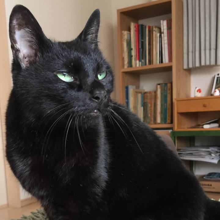 C53515d3 bdd8 49f9 bbe1 c09bcc99899f