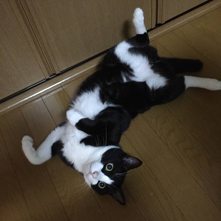 C5351f37 ecc1 4f17 a9ce 7b518f4bcc13