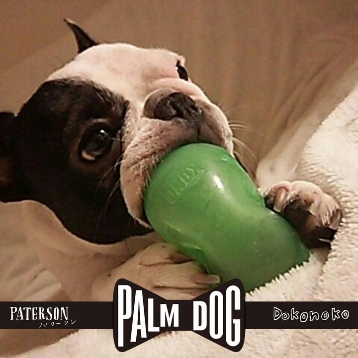 C5354b95 f253 43e5 bd92 930e747f9311