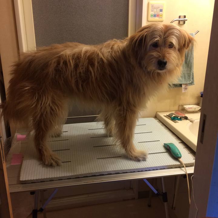 C53574a0 ed2d 46fb 8f54 1e89485e7756