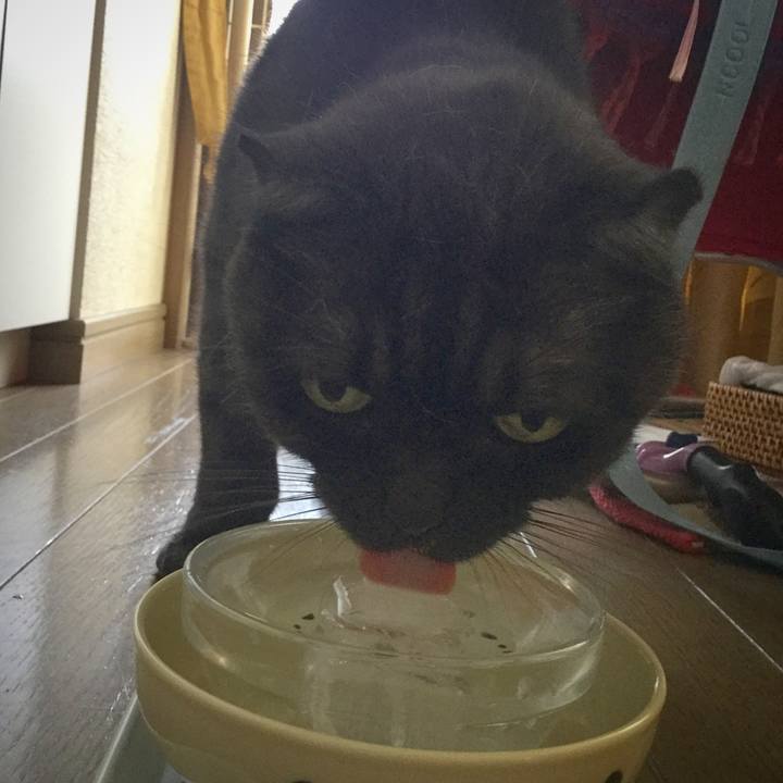 C53575de 0f2f 41ca ba7e 60b4b0b8ff03