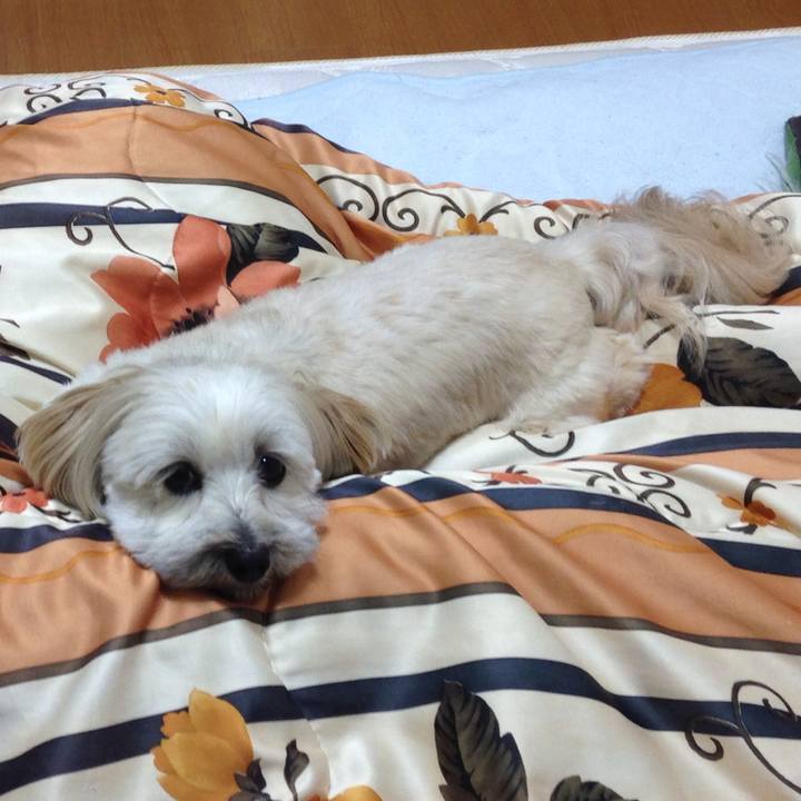 C5371ab7 5193 4aed 9673 85d305b6b9a4