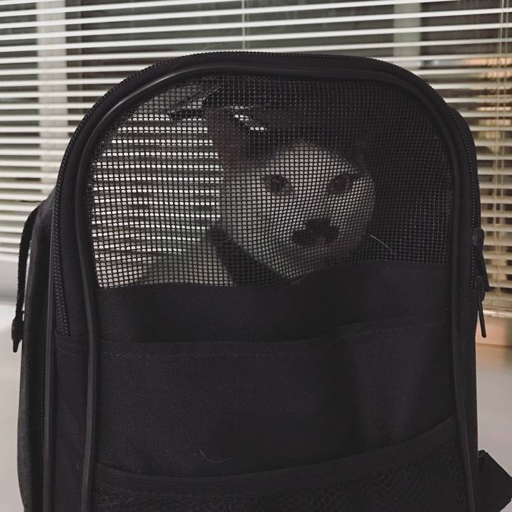 C53752c0 a4a5 4e2b 9cc1 d95db6a8fd7f