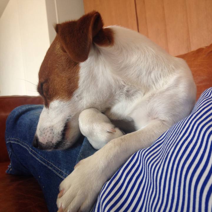 C53879c1 cddf 4d9b 86a1 ab30c7630fb4