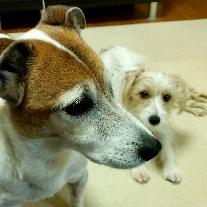 C53a713c 38eb 428c 992f 736bb6376b01