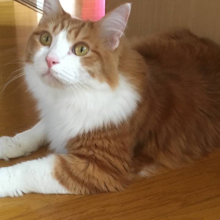 C53af174 54f6 4091 845f 911ad5882eab