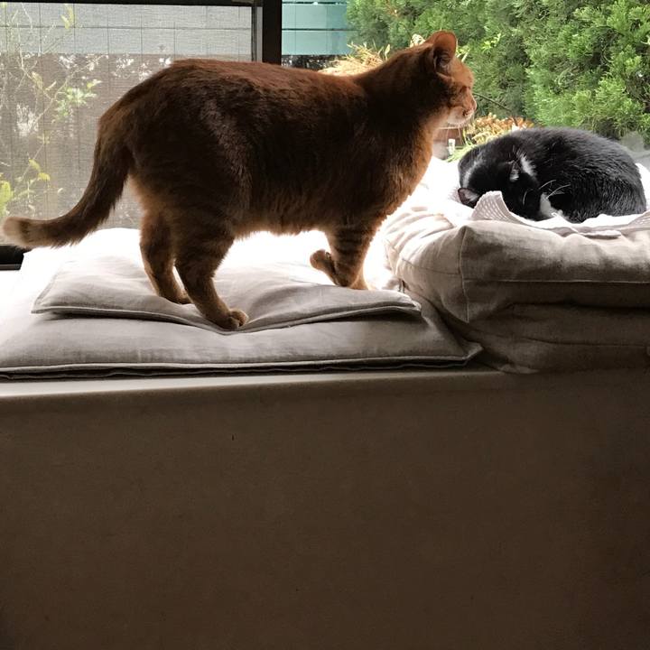 C53b0cfc c1f3 45c2 b168 93145918c39d