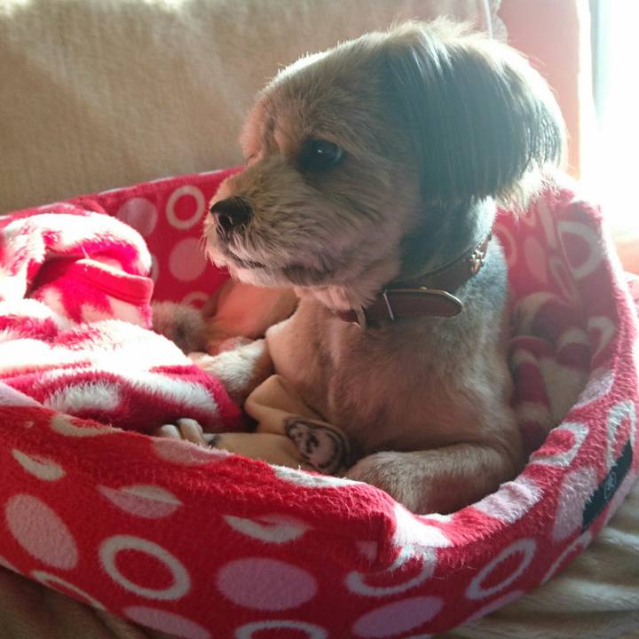 C53b13f2 651b 44ce b4e6 dec8089c8d80