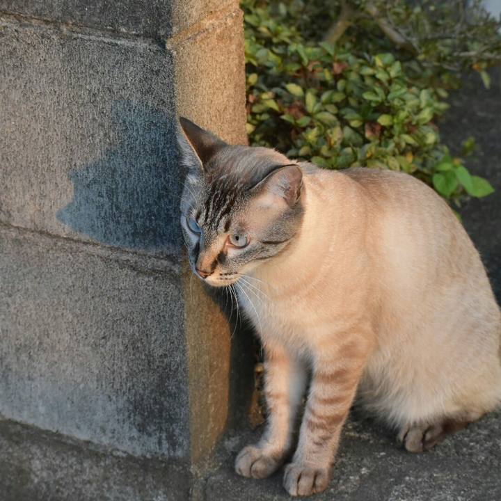 C53b4416 56f3 43a0 89e1 fef65594f94b