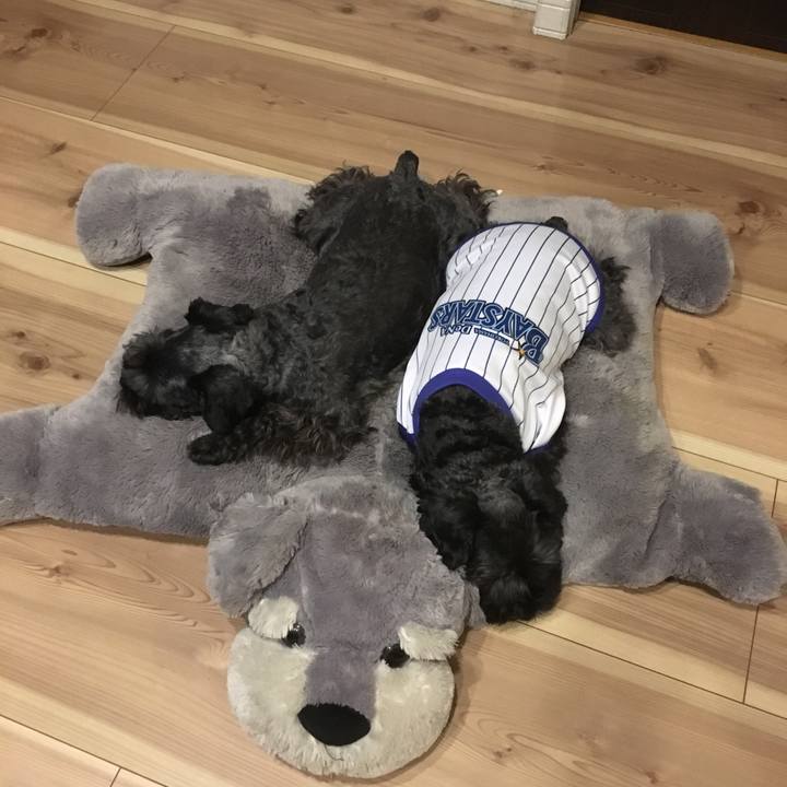 C53b6ac9 a2a8 4c43 896a fbe46f23addc